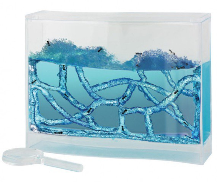 ANTQUARIUM - Was £30.00 - Now £14.99
